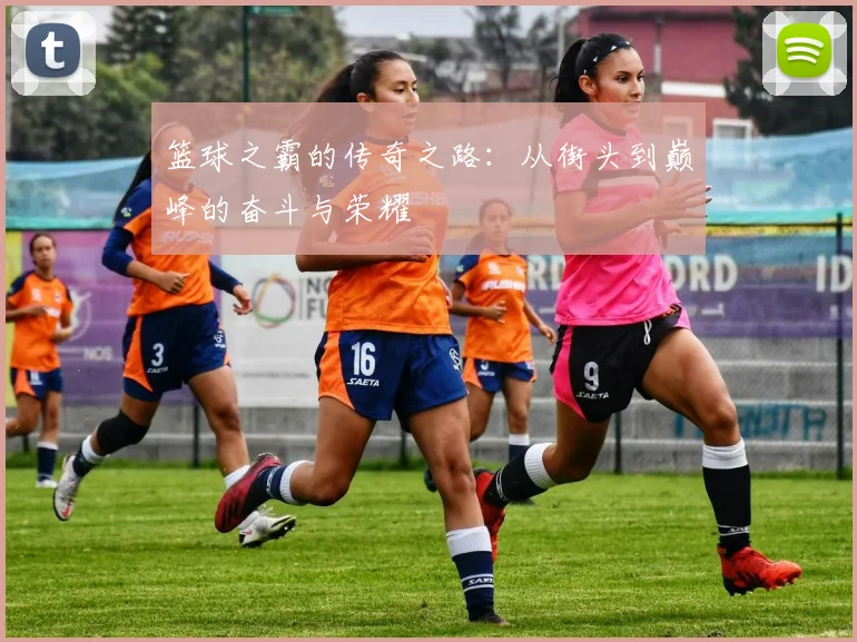 篮球之霸的传奇之路：从街头到巅峰的奋斗与荣耀