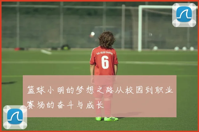 篮球小明的梦想之路从校园到职业赛场的奋斗与成长