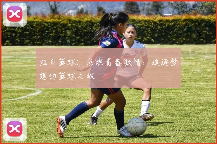 旭日篮球：点燃青春激情，追逐梦想的篮球之旅