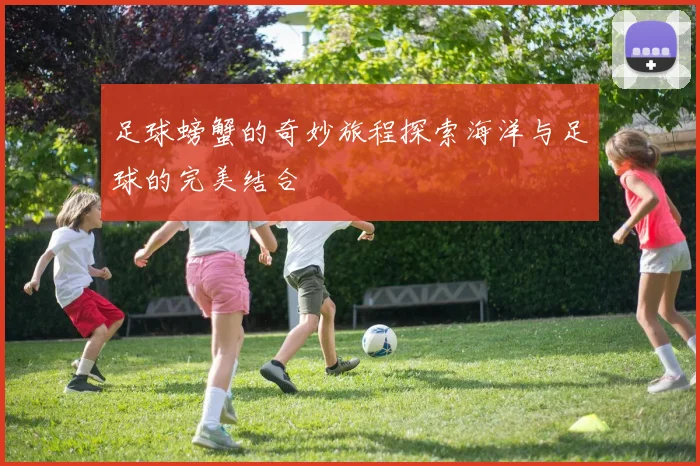 足球螃蟹的奇妙旅程探索海洋与足球的完美结合