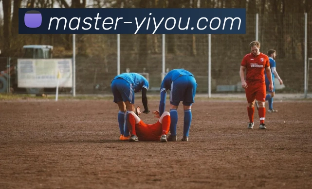 易游体育平台生态图